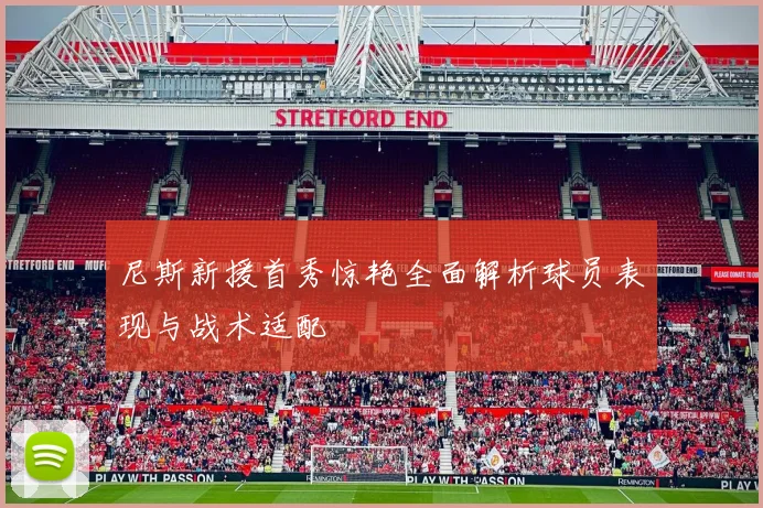 尼斯新援首秀惊艳全面解析球员表现与战术适配