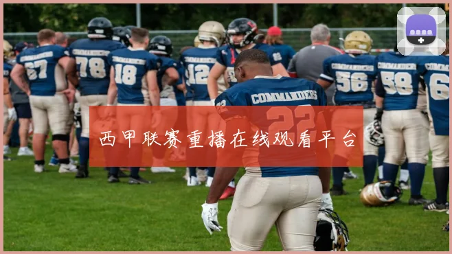 西甲联赛重播在线观看平台